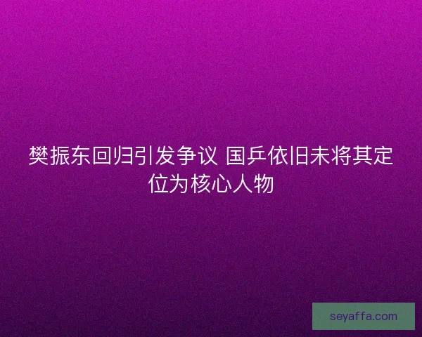 樊振东回归引发争议 国乒依旧未将其定位为核心人物